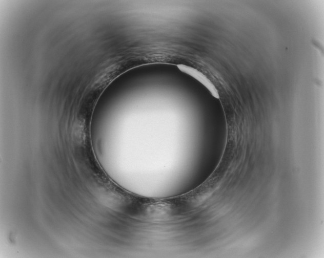 X0000099440599200805091314