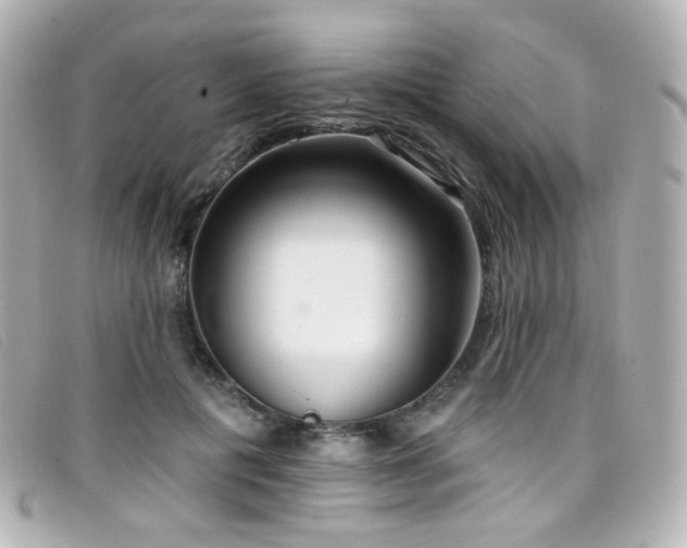 X0000099440601200805091314