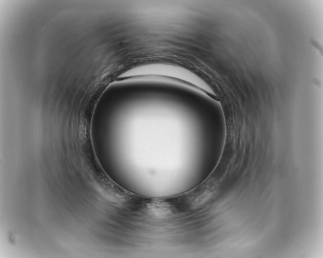 X0000099440603200805091314