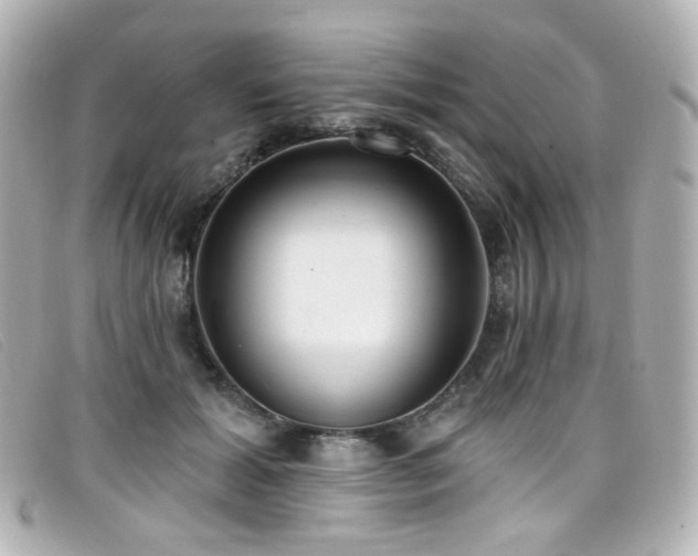 X0000099440605200805091314
