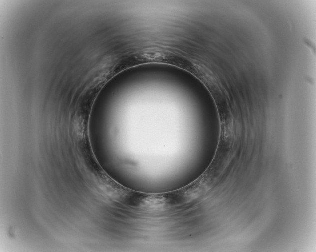 X0000099440606200805091314
