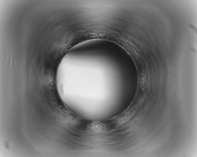 X0000099440608200805091314