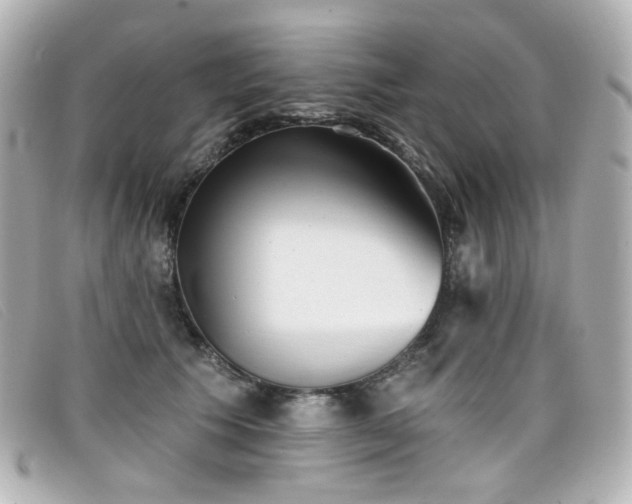 X0000099440609200805091314