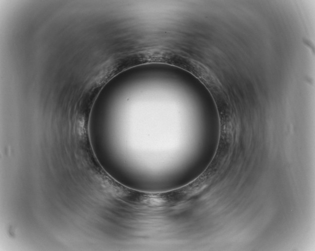 X0000099440610200805091314