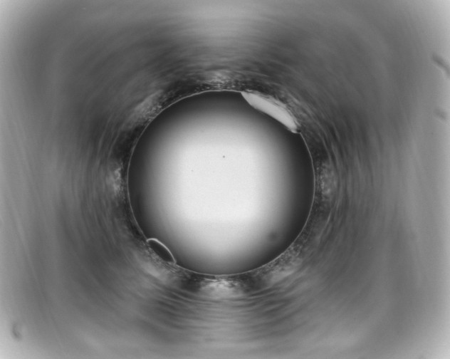 X0000099440611200805091314