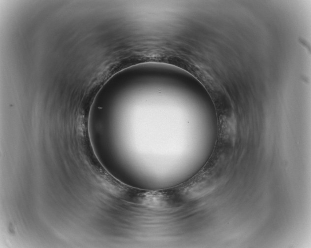 X0000099440612200805091314