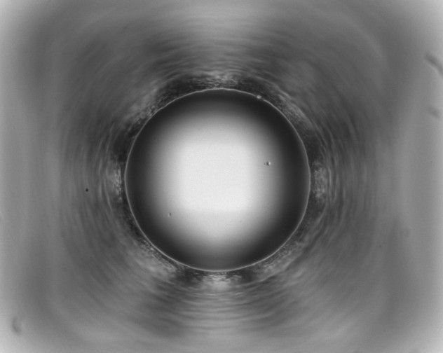 X0000099440613200805091314