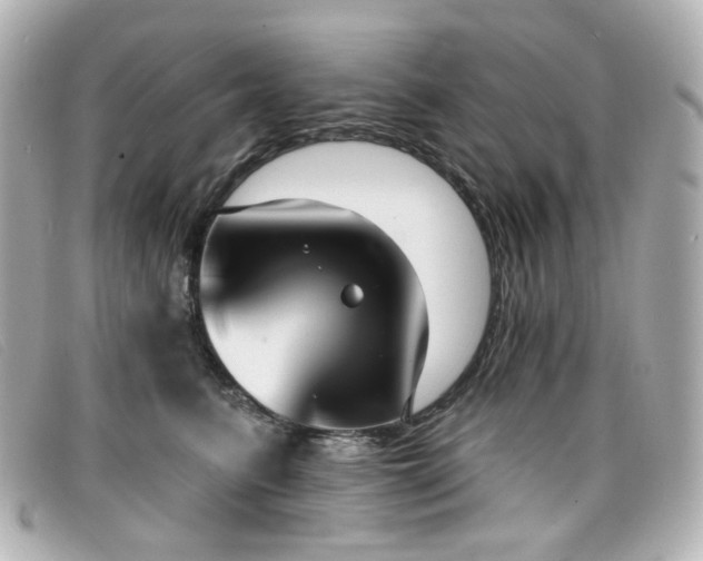 X0000099440615200805091314