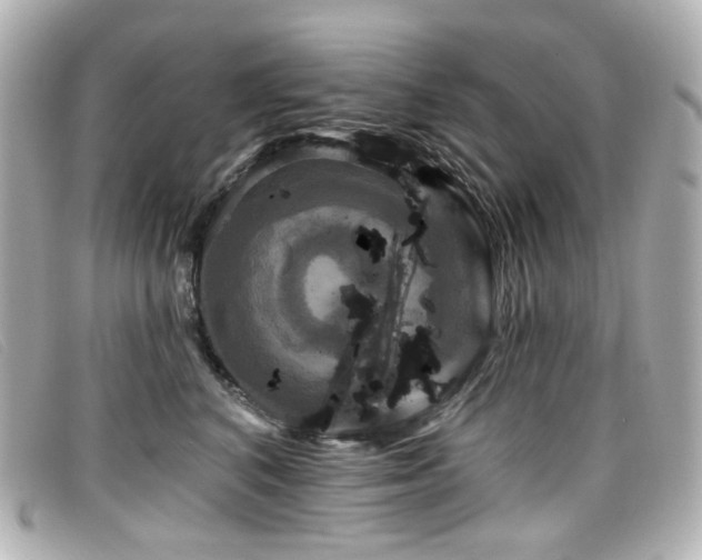 X0000099440616200805091314
