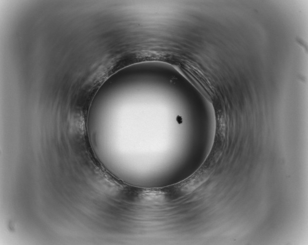 X0000099440617200805091314
