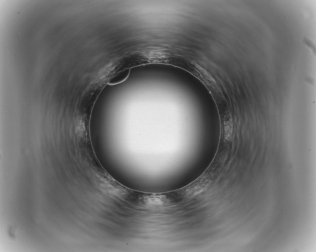 X0000099440618200805091314