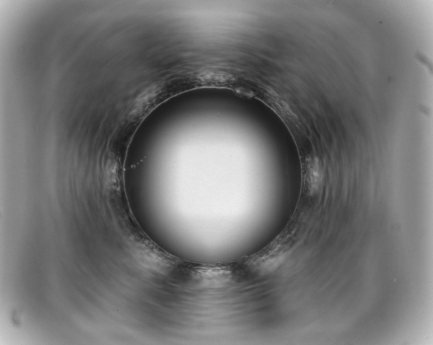 X0000099440619200805091314