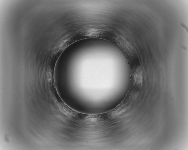 X0000099440620200805091314