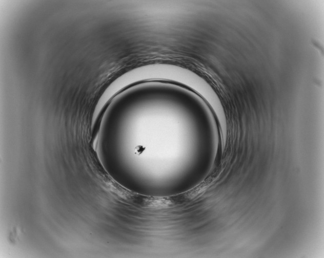 X0000099440621200805091314