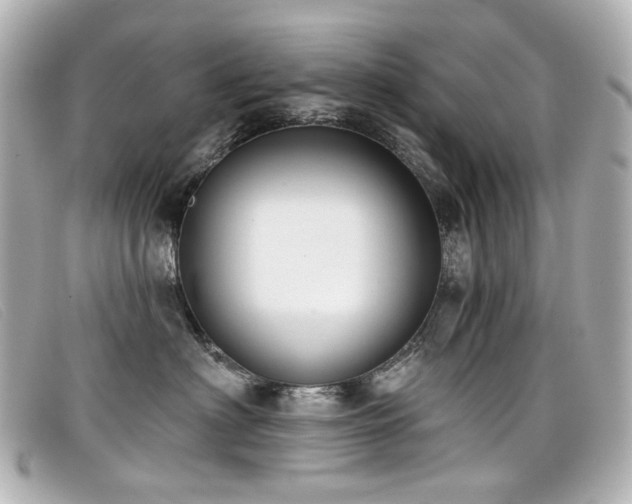 X0000099440622200805091314