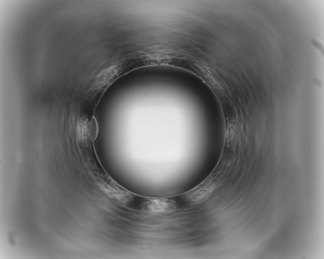 X0000099440623200805091314