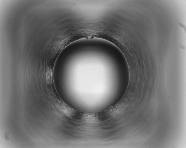 X0000099440624200805091314