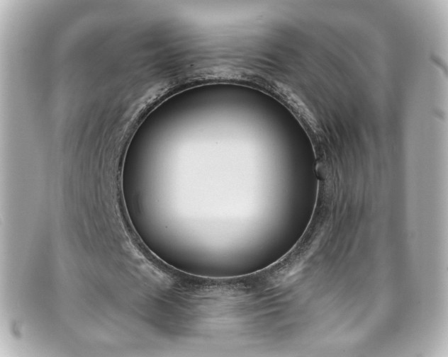 X0000099440625200805091313