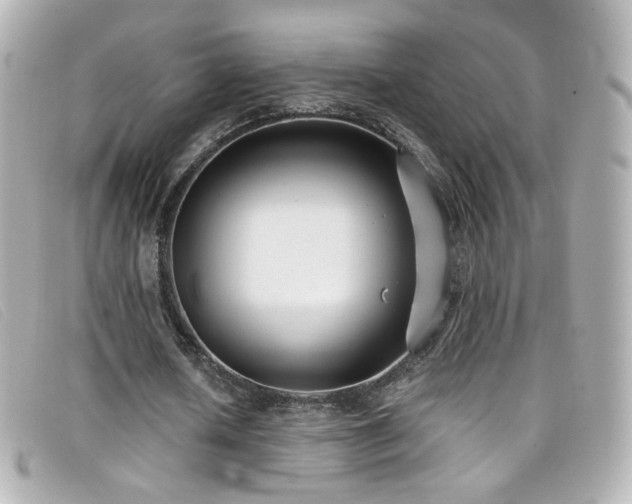 X0000099440626200805091313