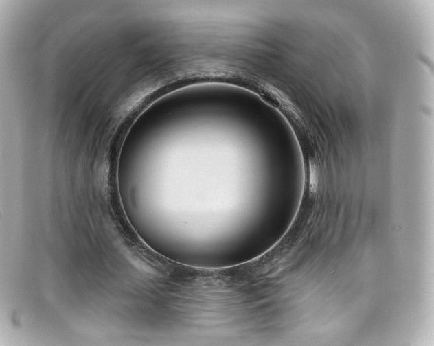 X0000099440627200805091313