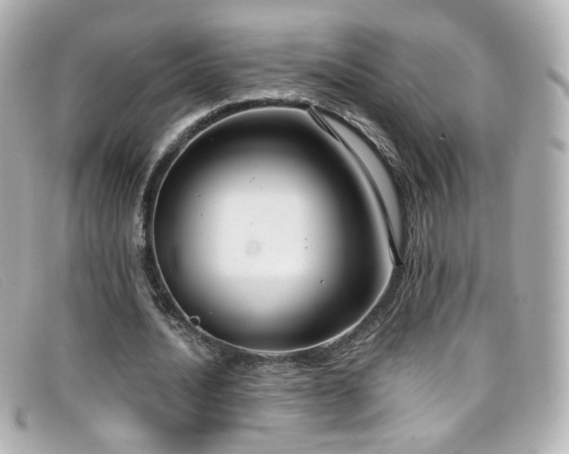 X0000099440628200805091313