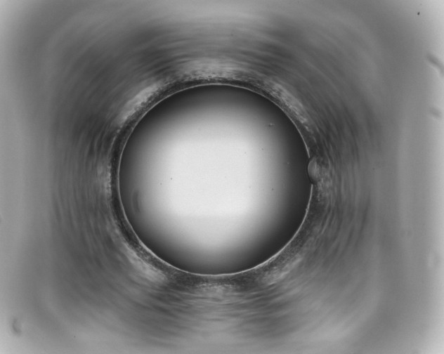 X0000099440629200805091313