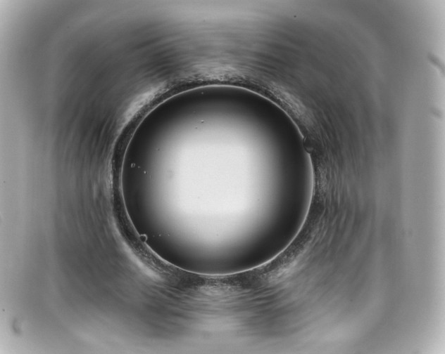 X0000099440630200805091313