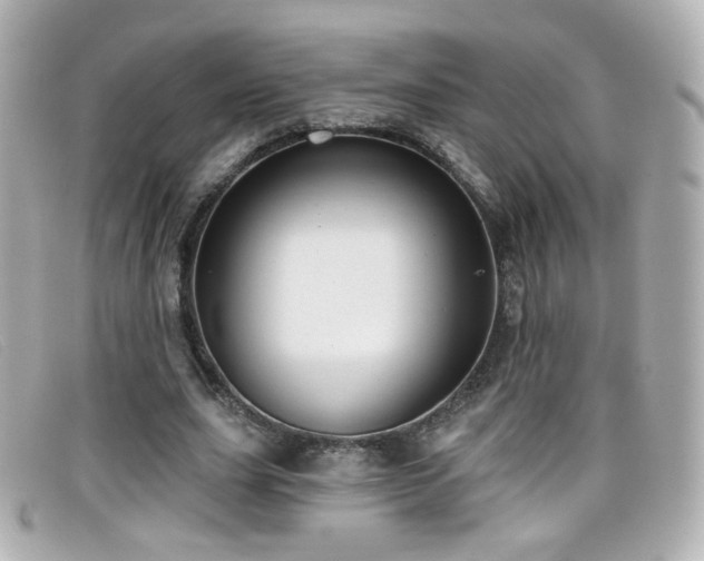 X0000099440631200805091313