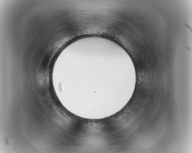 X0000099440632200805091313