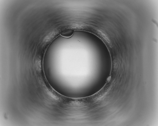 X0000099440633200805091313
