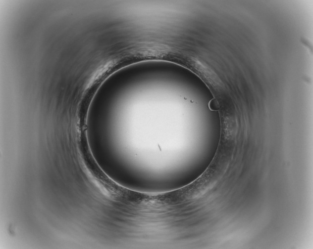 X0000099440634200805091313