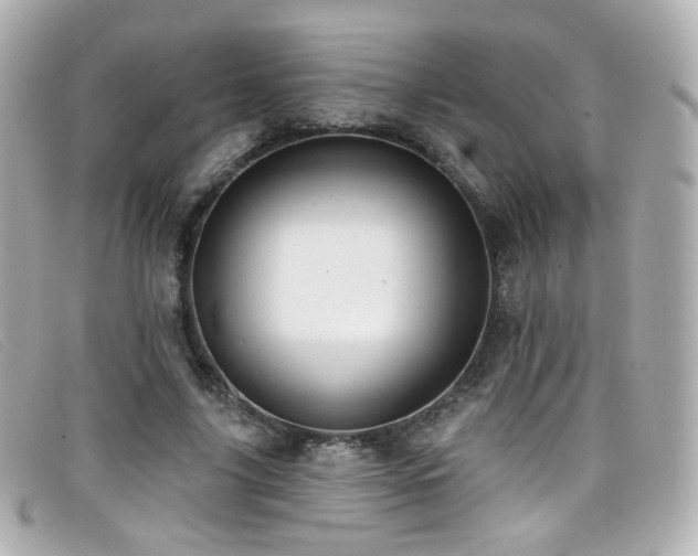 X0000099440635200805091313