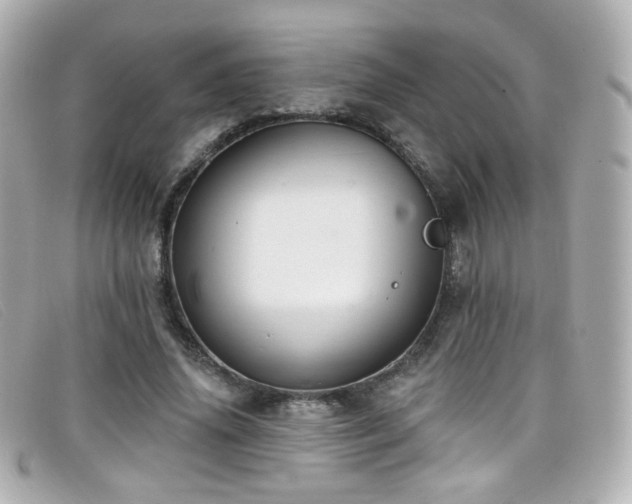 X0000099440636200805091313