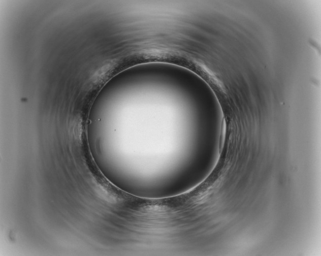 X0000099440637200805091313
