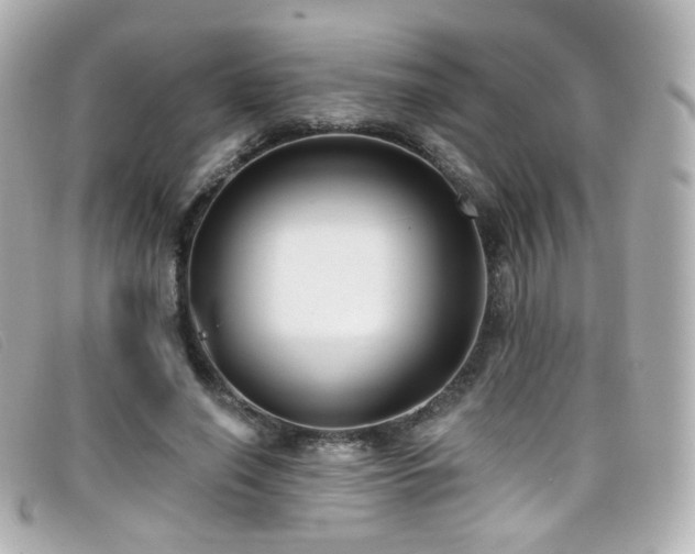 X0000099440638200805091313