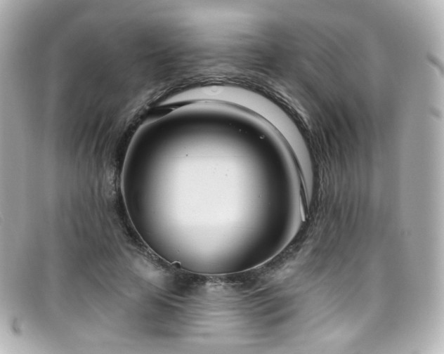 X0000099440641200805091313