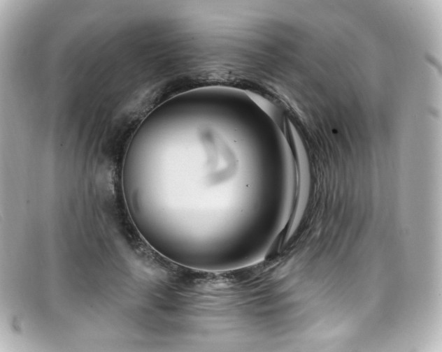 X0000099440643200805091313