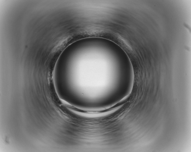 X0000099440644200805091313