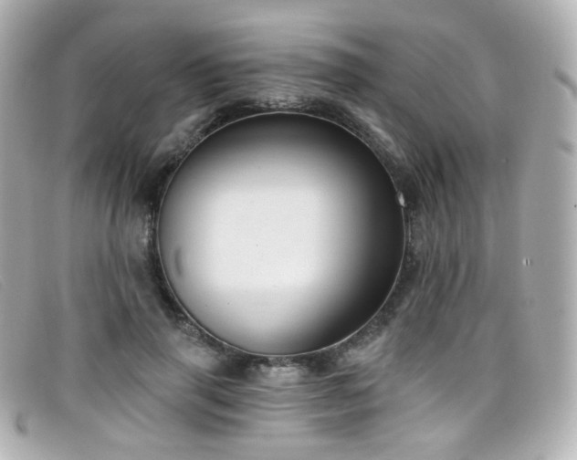 X0000099440645200805091313