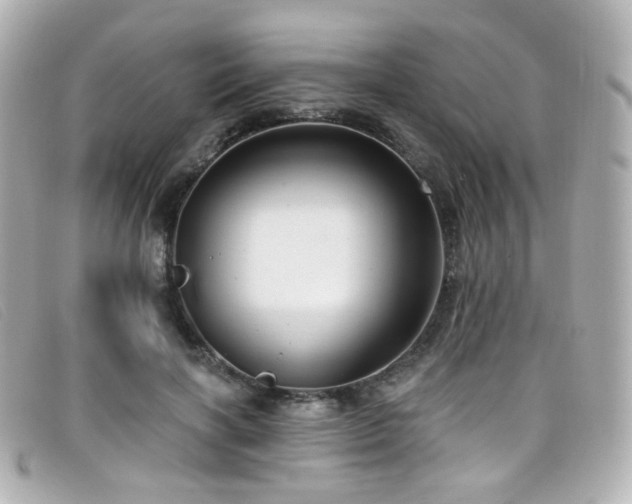 X0000099440646200805091313