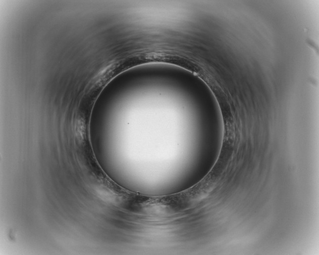 X0000099440648200805091313
