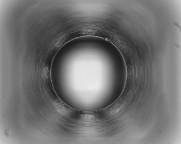 X0000099440649200805091313
