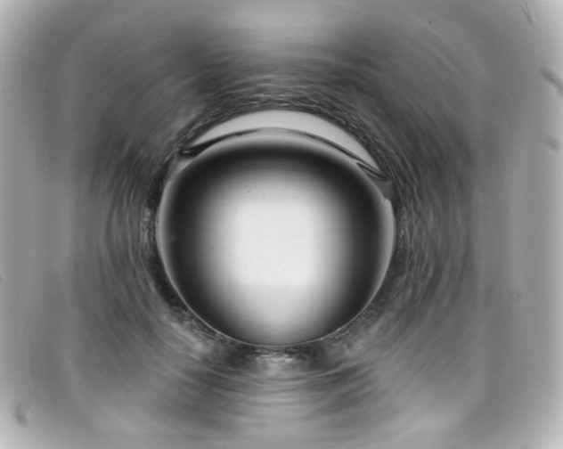 X0000099440650200805091313