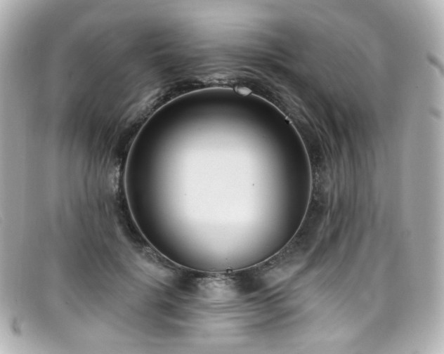 X0000099440652200805091313