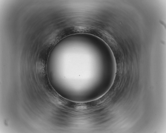 X0000099440653200805091313