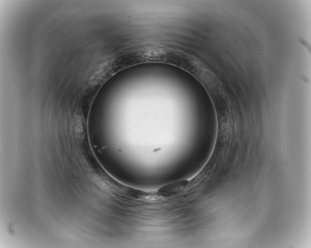 X0000099440654200805091313