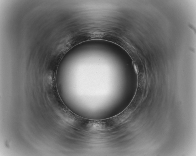 X0000099440655200805091313