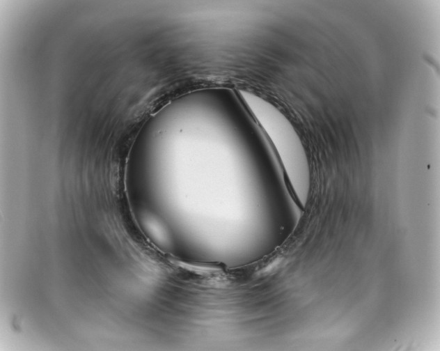 X0000099440656200805091313