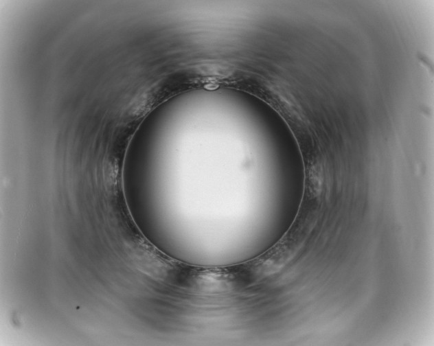 X0000099440657200805091313