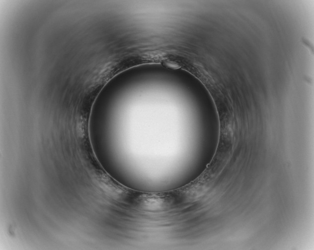 X0000099440658200805091313